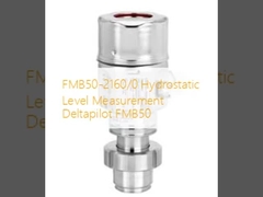 FMB50-2160/0 Pengukuran Tingkat Hidrostatik Deltapilot FMB50