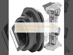 Sakelar Pemilih 30mm 800H-NR9KP4B 800H PB